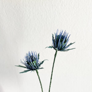 Thistle