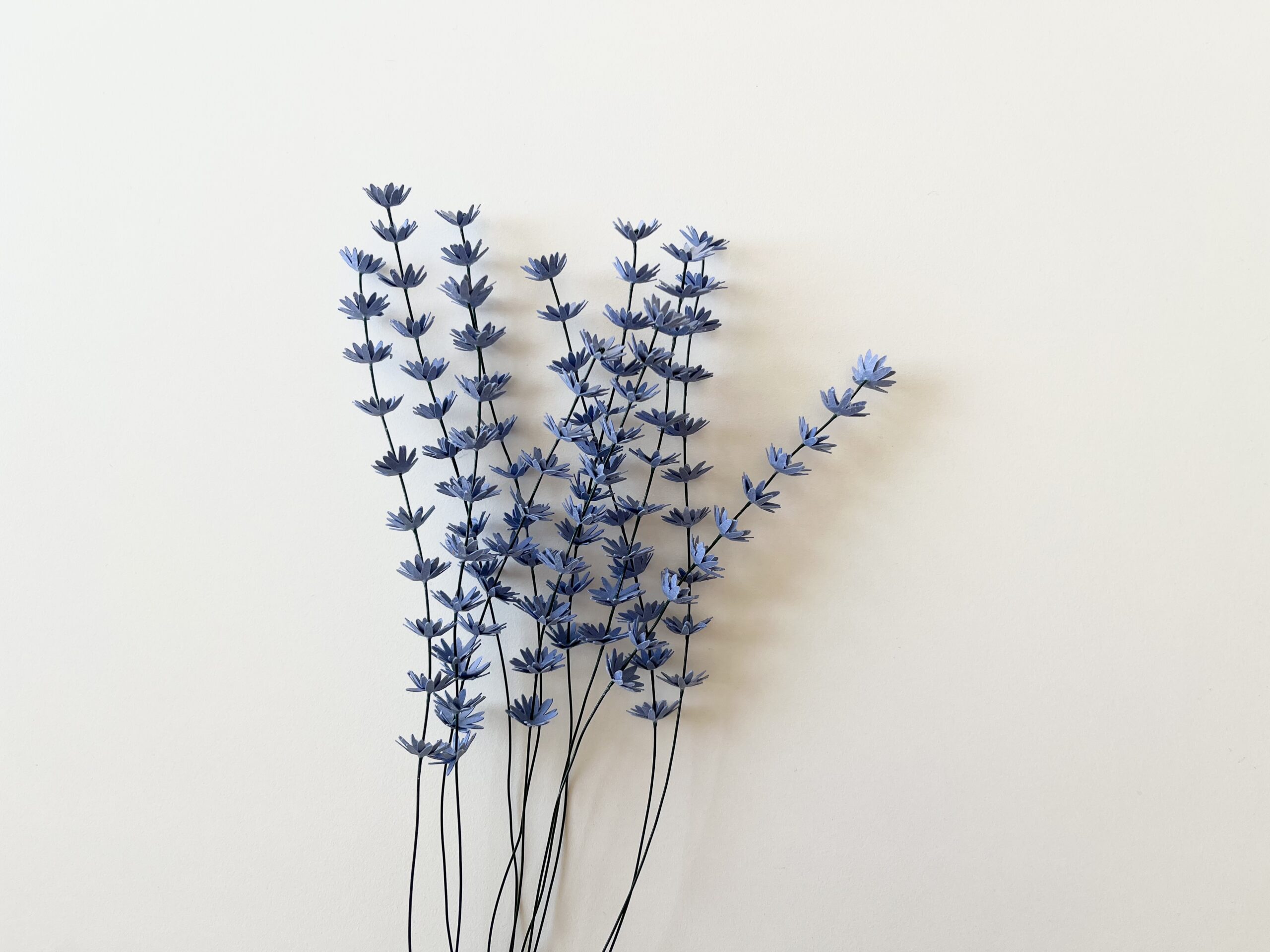 Lavender - immagine 2
