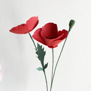 Poppy