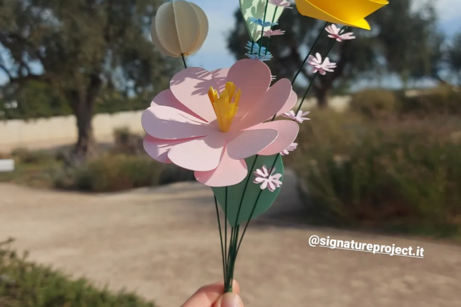 signature project_snfcc workshop_may 2024 4