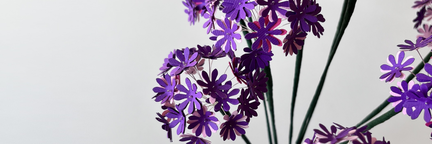 allium